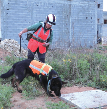 Rabat : Des chiens pour détecter des fuites d’eau !