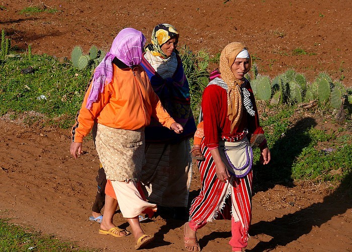 Monde rural : l'alphabétisation des jeunes et des femmes au cœur d'un projet innovant Monde rural : l'alphabétisation des jeunes et des femmes au cœur d'un projet innovant