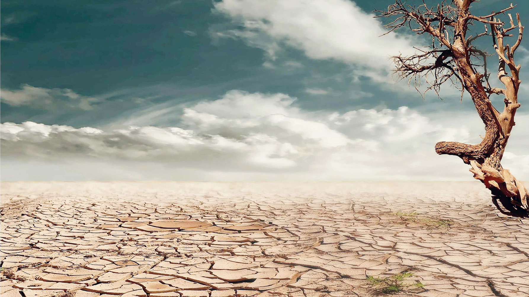 Rapport du GIEC : Plus que 3 ans pour sauver la terre ! Rapport du GIEC : Plus que 3 ans pour sauver la terre !