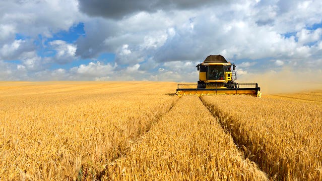 United States Departement of Agriculture : La sécheresse au Maroc fait craindre une production céréalière en forte baisse United States Departement of Agriculture : La sécheresse au Maroc fait craindre une production céréalière en forte baisse