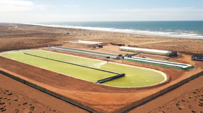 Construction d’une gigantesque ferme de captage et stockage de carbone au Maroc