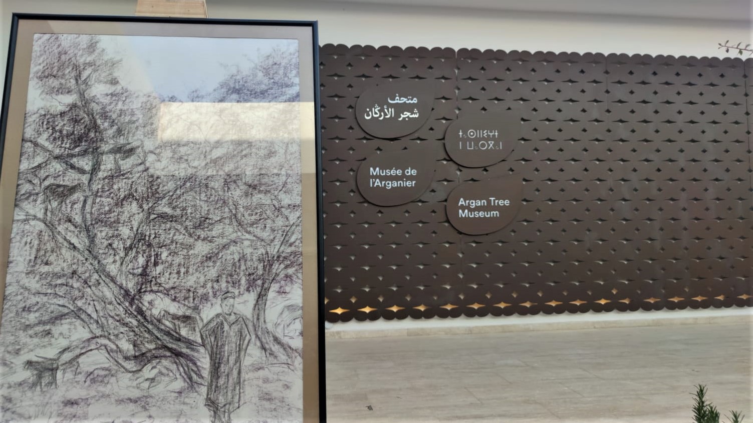 Art'gan Days : le premier musée de l’Arganier au Maroc ouvre ses portes (images) Art'gan Days : le premier musée de l’Arganier au Maroc ouvre ses portes (images)