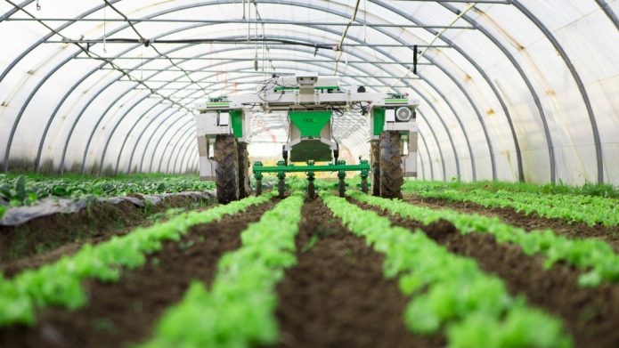 Le PIB agricole devrait baisser de 14% en 2022 Le PIB agricole devrait baisser de 14% en 2022