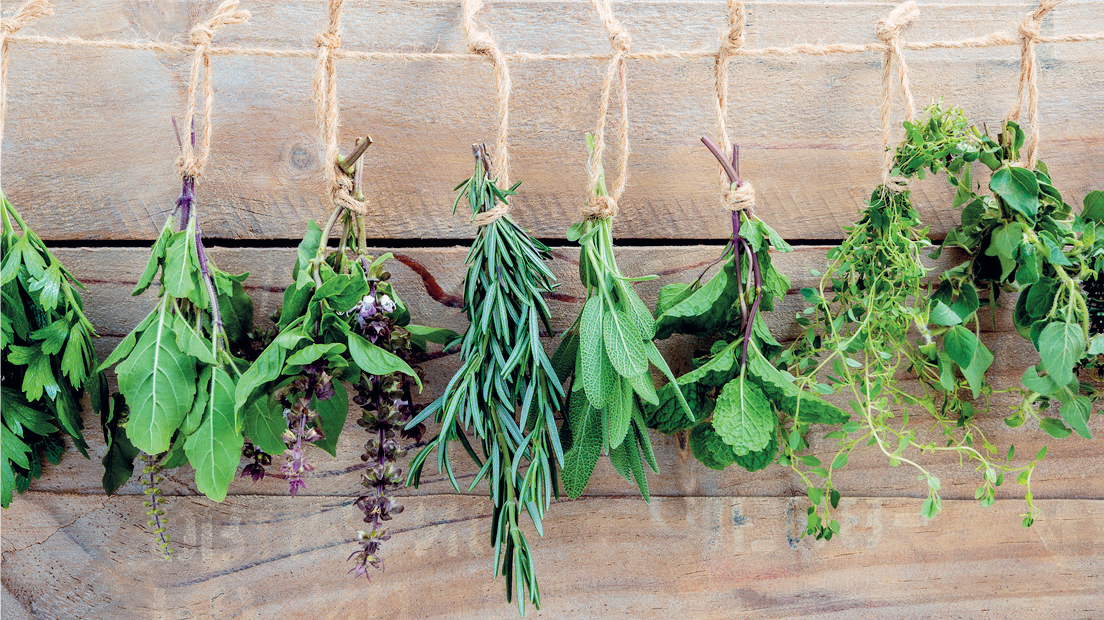Plantes médicinales : Le Maroc, exportateur chevronné des remèdes d’antan Plantes médicinales : Le Maroc, exportateur chevronné des remèdes d’antan