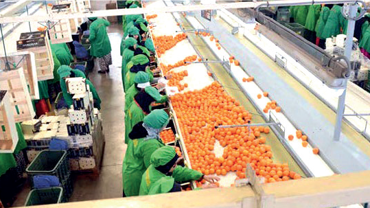 ASMEX et AMDIE : L’agroaliementaire comme levier de développement de la coopération Sud-Sud ASMEX et AMDIE : L’agroaliementaire comme levier de développement de la coopération Sud-Sud