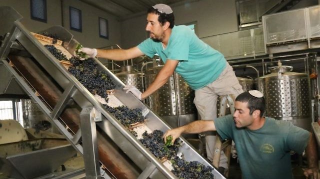 Palestine-Canada  / ACIA : les vins fabriqués en Cisjordanie ne sont pas d’Israël