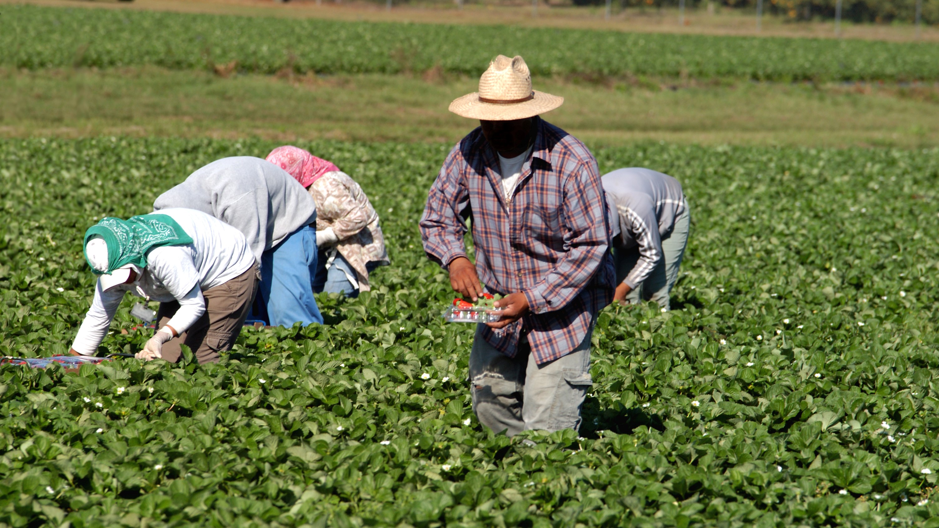Couverture médicale au profit des agriculteurs : 4 conventions de partenariat signées