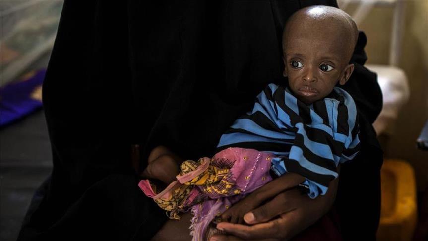 Somalie : Le président appelle au soutien de la communauté internationale