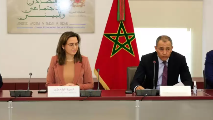 Transformation digitale : Le CESE et la Chambre des Conseillers zooment sur les défis courants