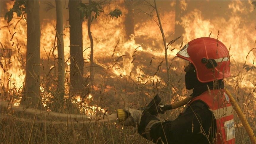 Canicule : L’Espagne en proie aux incendies