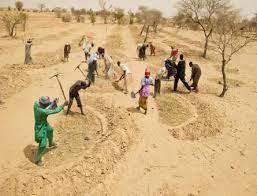 Lutte contre la désertification : Rabat confirme son statut de leader continental