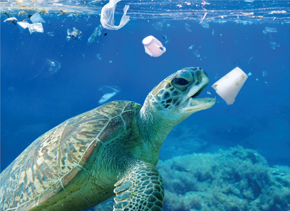 Plastic Smart City : Tanger déclare la guerre au plastique !