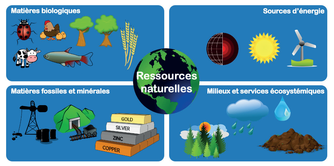 Recherche et innovation : Quels moyens pour mieux valoriser les ressources naturelles ? Recherche et innovation : Quels moyens pour mieux valoriser les ressources naturelles ?