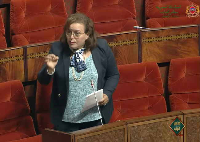 Aawatif Hayar : "Tous les enfants en situation de handicap seront scolarisés"