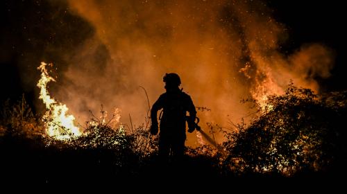 Tétouan :  les incendies de Bni Idder maîtrisés, 500 hectares ravagés 