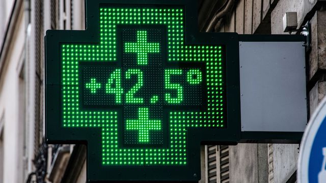 Canicule : Nos organes fragiles peuvent en pâtir !