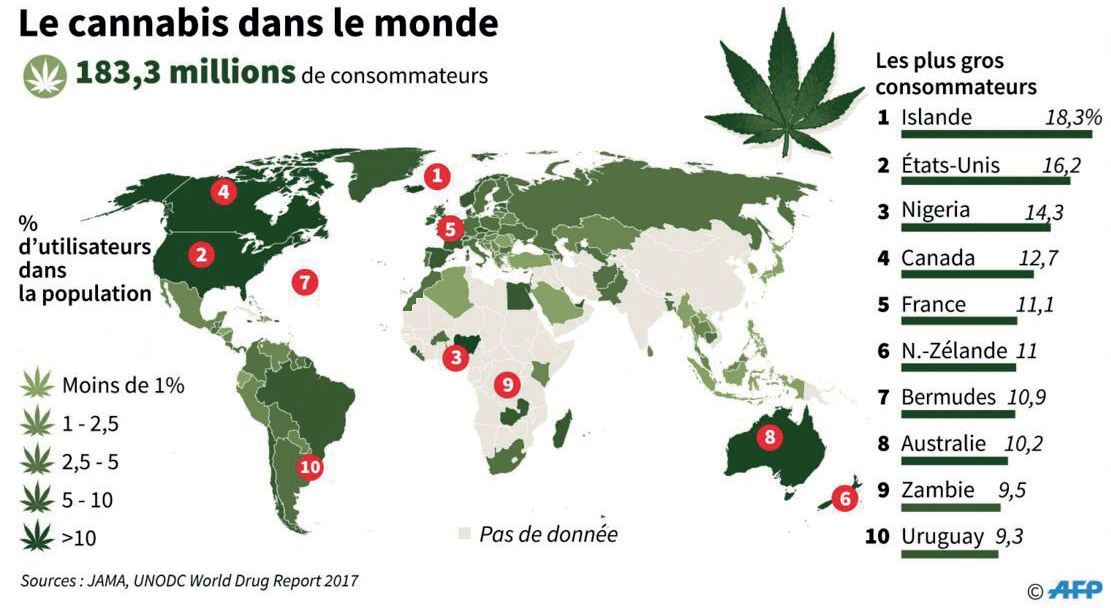 Cannabis au Maroc : Les variétés hydrivores font un tabac ! Cannabis au Maroc : Les variétés hydrivores font un tabac !