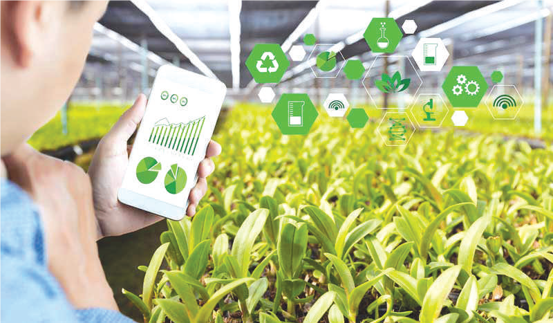 Fellah-Tech : La technologie au service de l’agriculture