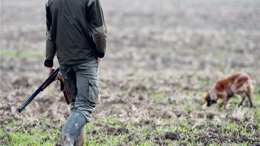 Permis de chasse : prix des redevances 2023 - 2024