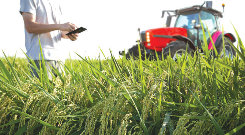 High-Tech Agriculture : Le Maroc participe à une conférence à Eilat