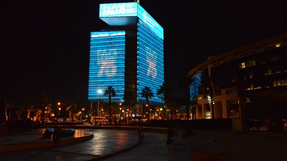 Rabat illuminée à l'occasion de la Journée mondiale de l’alimentation 