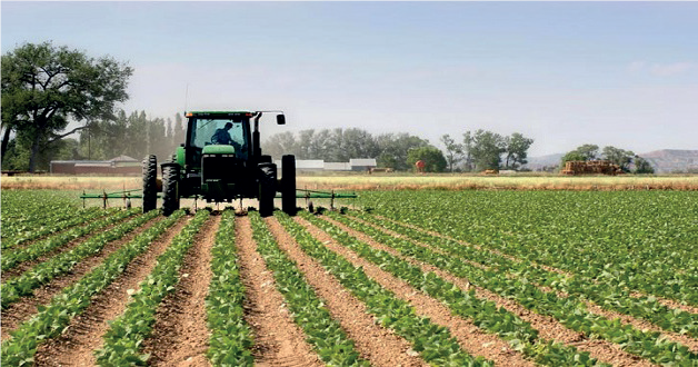 Interview avec Manuel Vicente Rodríguez Díez : Vers un développement maroco-espagnol de l’agriculture de précision