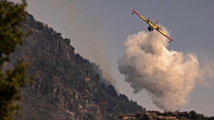 (Photo : Fadel Senna / AFP)