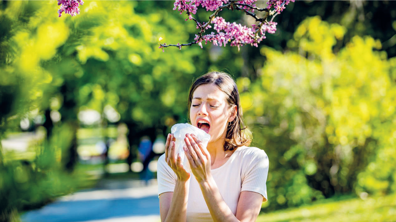 Réchauffement climatique et allergies : une double peine ?