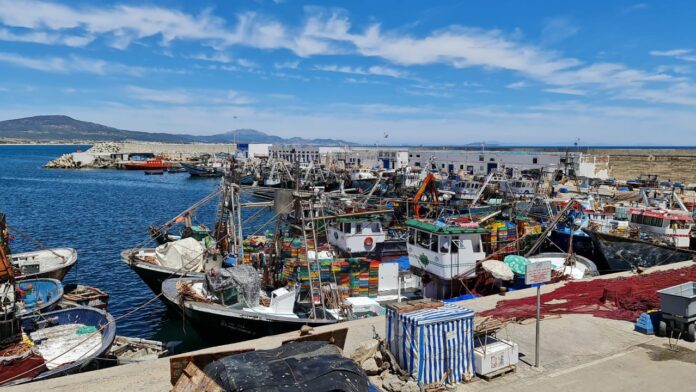 Prix des carburants : Les professionnels de la pêche côtière n’arrivent plus à tenir la barre
