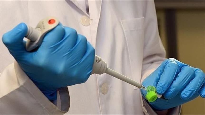 Santé : Streptocoque A, une infection qui a tué une enfant en France et 8 au Royaume-Uni Santé : Streptocoque A, une infection qui a tué une enfant en France et 8 au Royaume-Uni