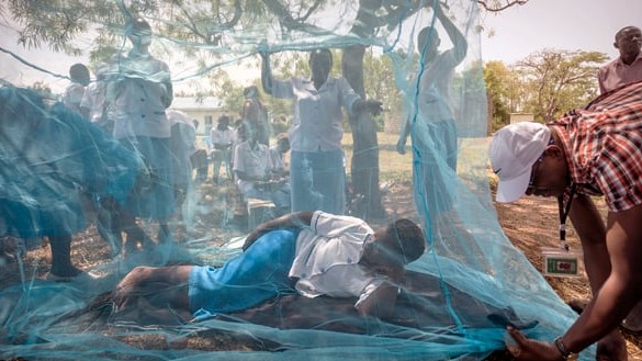 Santé : Le paludisme a tué 619.000 personnes en 2021