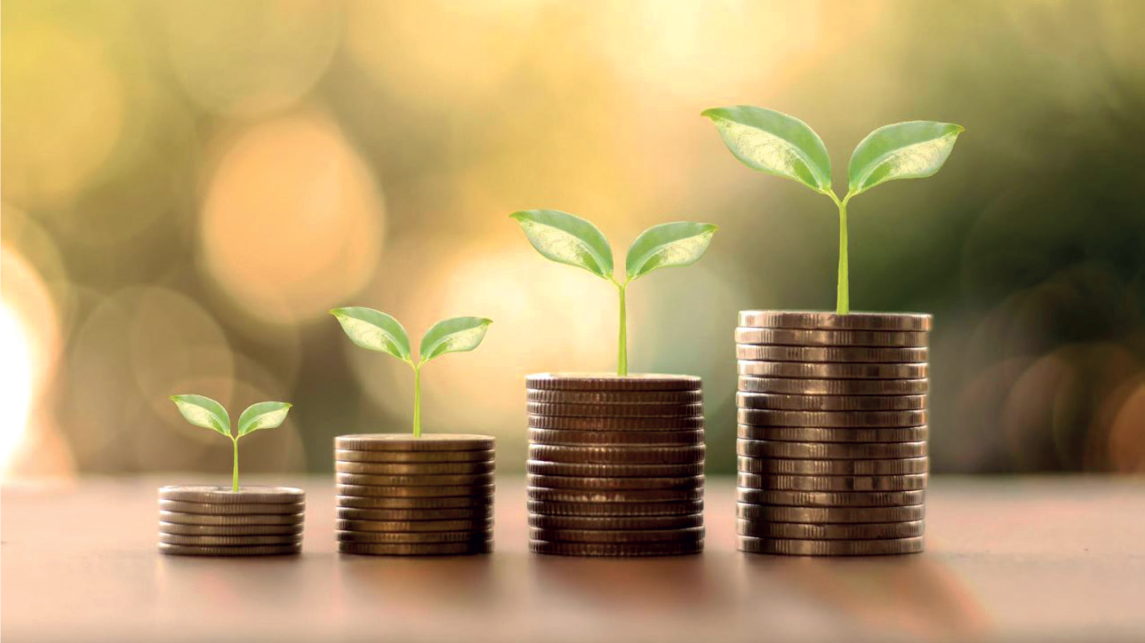 Emploi : Economie verte, un secteur incitatif pour les compétences