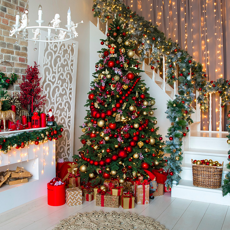 Sapins de Noël : Un marché timide au Maroc, mais qui gagne en ampleur Sapins de Noël : Un marché timide au Maroc, mais qui gagne en ampleur