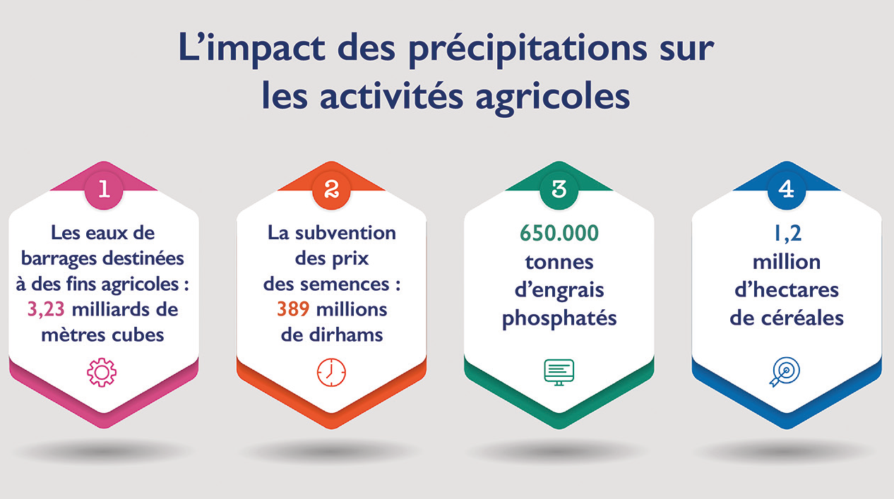 Agriculture : La vague de chaleur menace-t-elle la saison ?