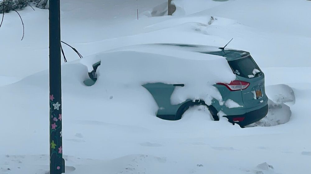 Tempête hivernale : Au moins 50 morts et un bilan qui risque de s’alourdir aux Etats-Unis