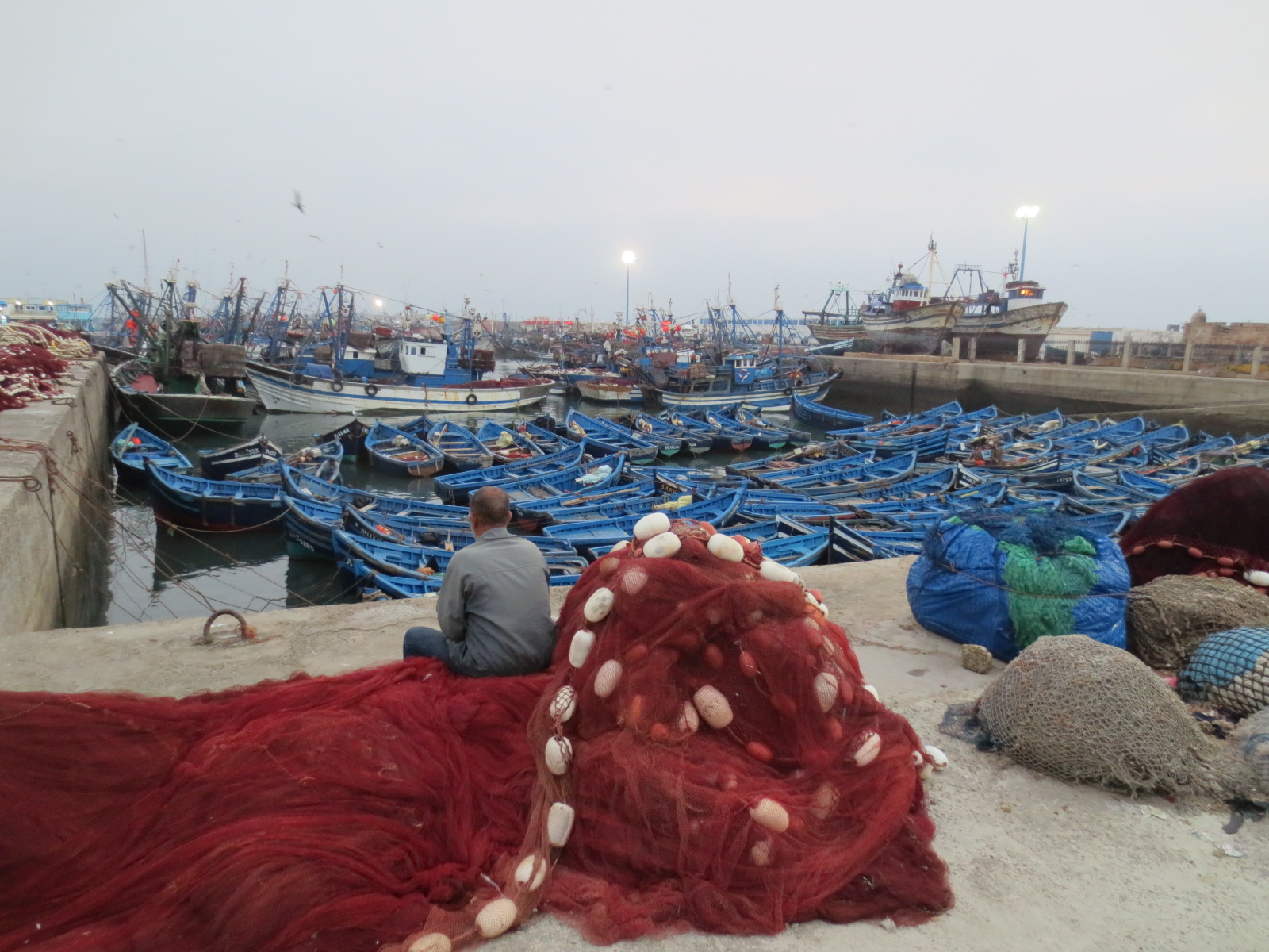 Secteur de la pêche : l'Exécutif justifie le non-octroi des aides aux professionnels 