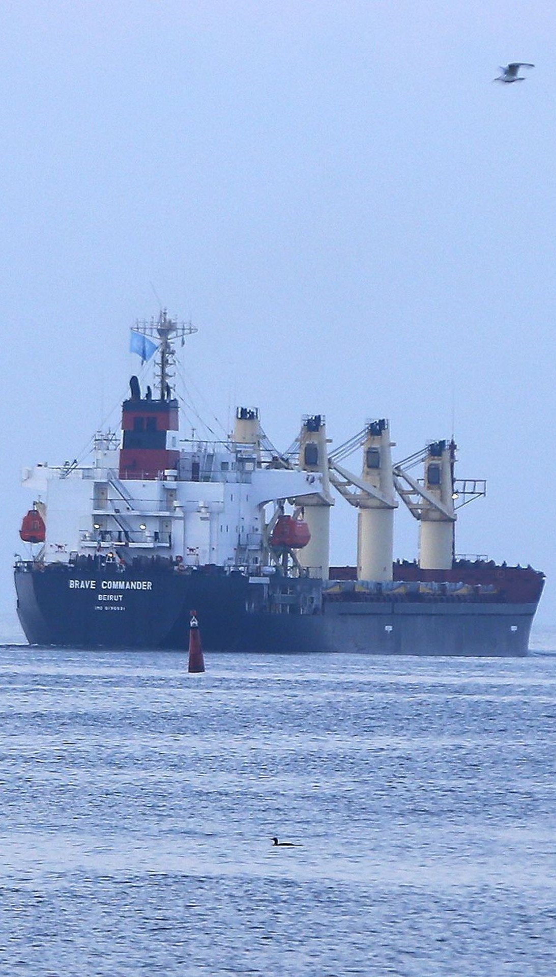 Importation de céréales : Un navire céréalier ukrainien attendu au Maroc