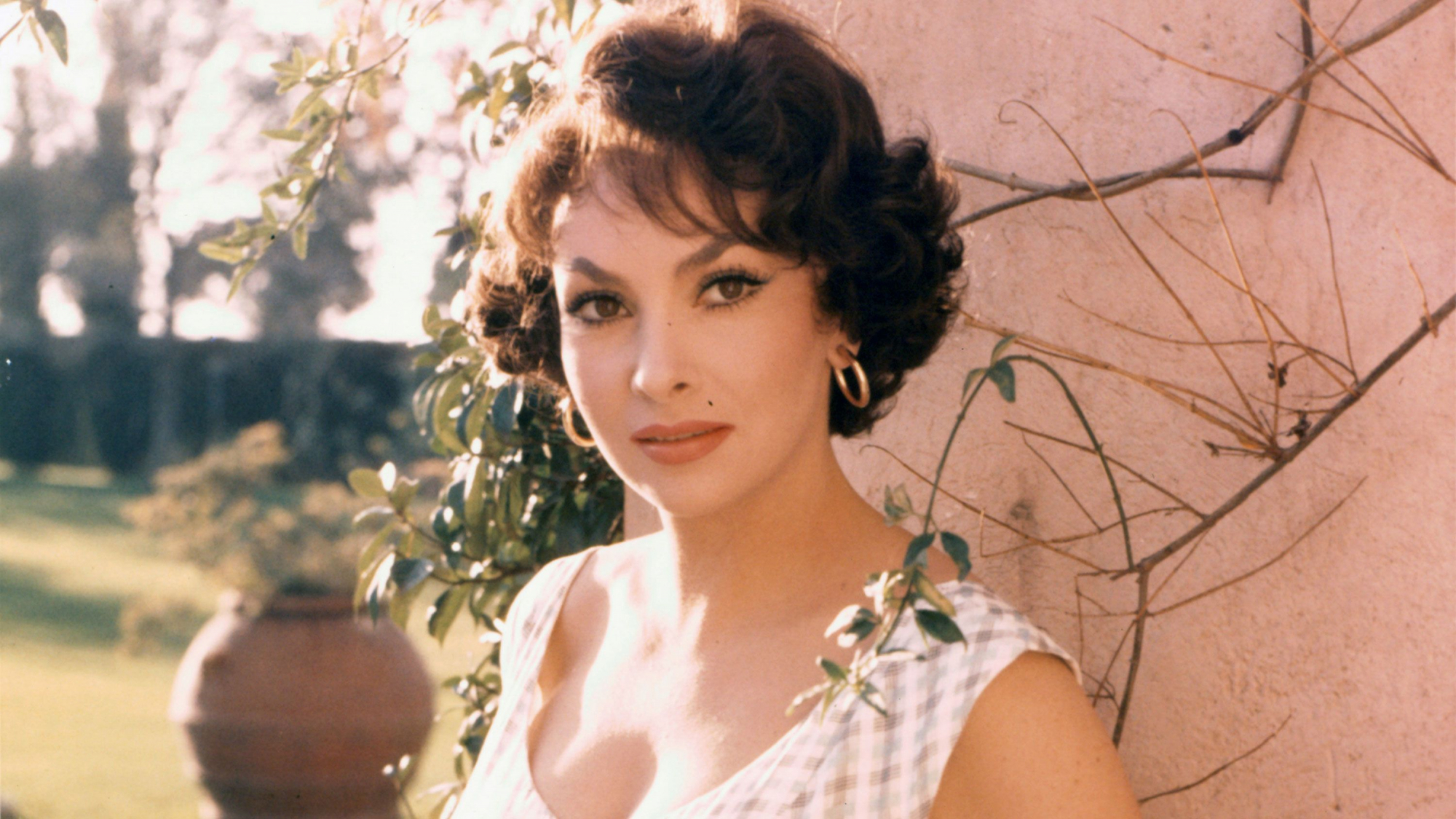 Gina Lollobrigida, label dame Gina Lollobrigida, label dame