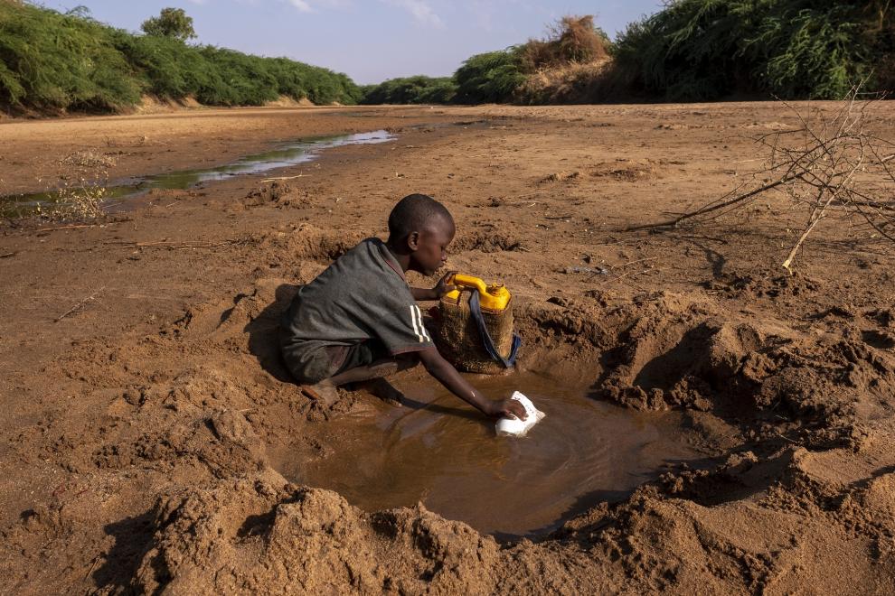 Corne de l'Afrique : La sécheresse menace 22 millions de personnes