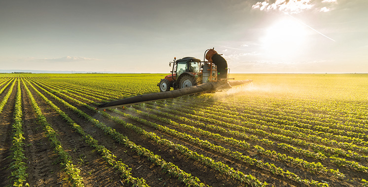 Agriculture : L’intersaison agricole pendue au fil des pluies