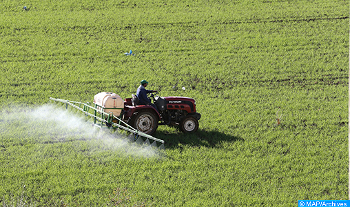 Agriculture : L’intersaison agricole pendue au fil des pluies