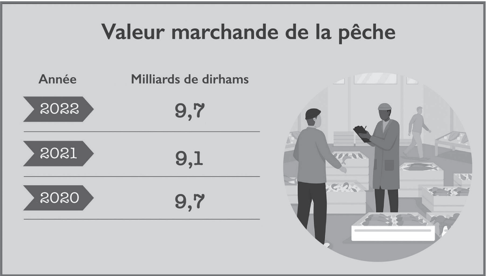 Économie bleue VS Surpêche : Coup de gouvernail pour éviter le naufrage