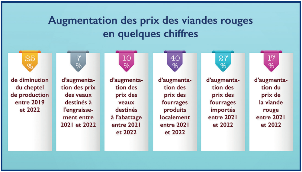 Viandes rouges : Délai triennal pour le redressement du cheptel national