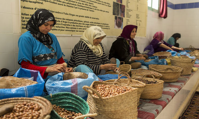 PCNS : Le secteur coopératif agricole marocain, un acteur clé de l'auto-emploi