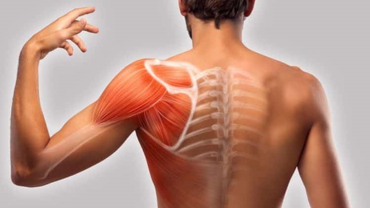 Santé Nœuds musculaires, comment les soulager ? Santé Nœuds musculaires, comment les soulager ?