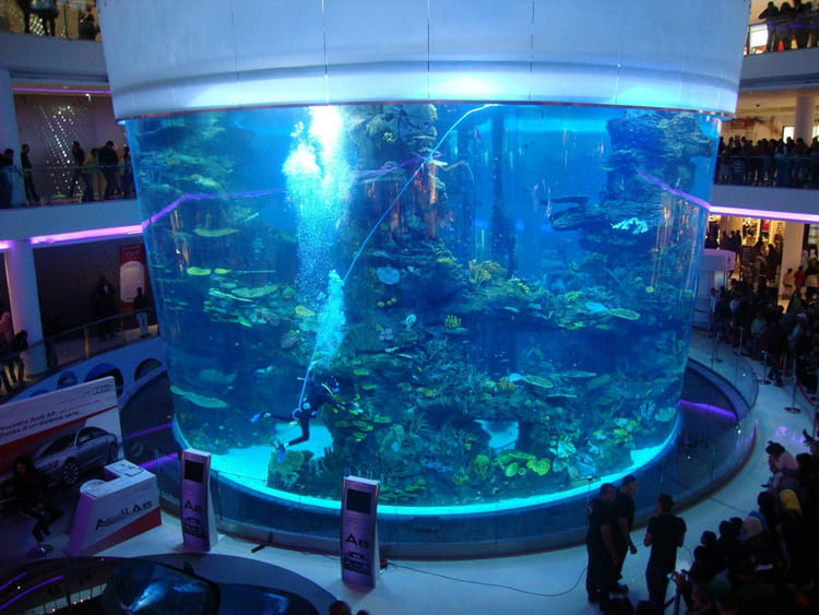 Casablanca: Un aquarium géant promis à être un site emblématique