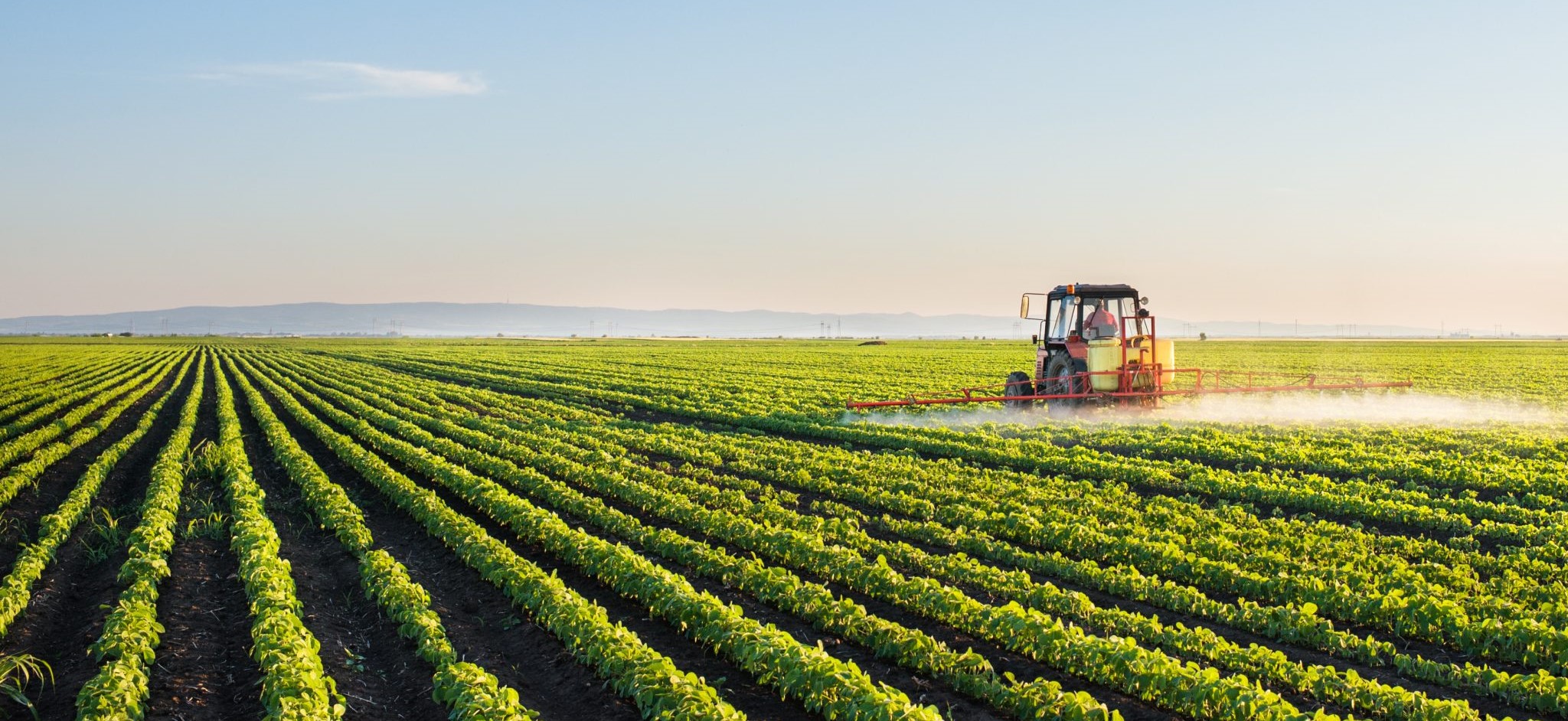 Berrechid : Les pluies de l’espoir pour les agriculteurs Berrechid : Les pluies de l’espoir pour les agriculteurs
