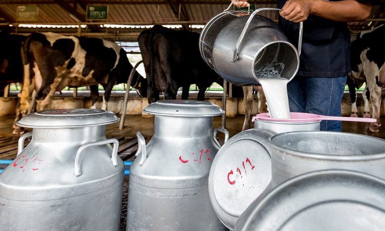 Ramadan : Les prix du lait résistent à la hausse