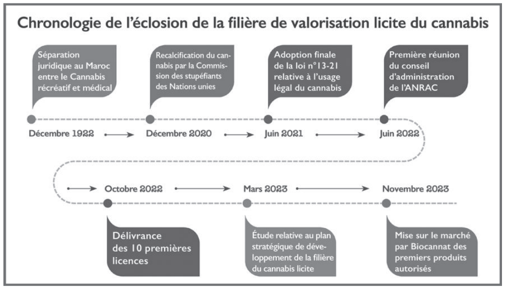 Cannabis licite : Retard à l’allumage d’une filière en attente d’éclosion  [INTÉGRAL]