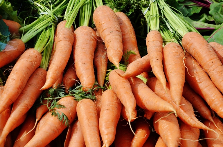 Export: Les carottes marocaines très prisées sur les marchés africains